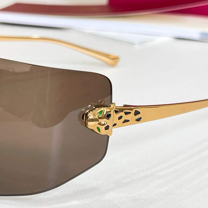 Picture of Cartier Sunglasses _SKUfw80443004fw
